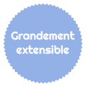 Extensibilité Field Service Management